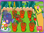 Doras Magical Garden