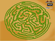 Maze Game Game Play 1 Find The Chicken