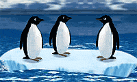 Turbo Charged Penguins